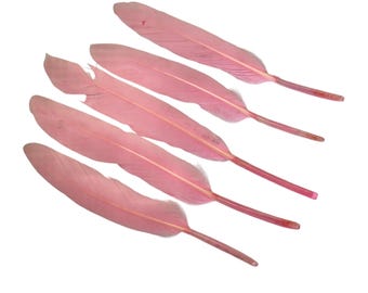 4-6” light pink dyed goose feathers, for diy hair bow & headband embellishments, real dyed feathers, stiff decorative feathers