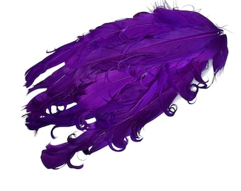 May include: A cluster of vibrant purple feathers, likely for crafting or decorative purposes, against a clean white background. The feathers vary in size and shape, with some having a curled, textured appearance.