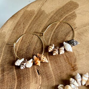 May include: Gold hoop earrings adorned with small seashells in various colors and patterns. The shells include white, brown, and tan hues, adding a natural, beachy aesthetic. The earrings are displayed on a wooden surface.