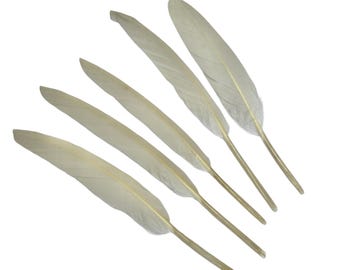 4-6” off white dyed goose feathers, for diy hair bow & headband embellishments, real dyed feathers, stiff decorative feathers