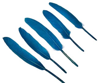 4-6” turquoise blue dyed goose feathers, for diy hair bow & headband embellishments, real dyed feathers, stiff decorative feathers