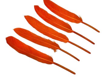 4-6” orange dyed goose feathers, for diy hair bow & headband embellishments, real dyed feathers, stiff decorative feathers