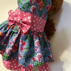 Pretty Blue and Pink Dog Dress
