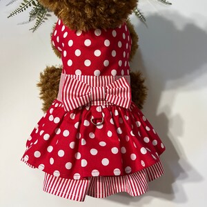 Polka Dots and Stripes Dog Dress