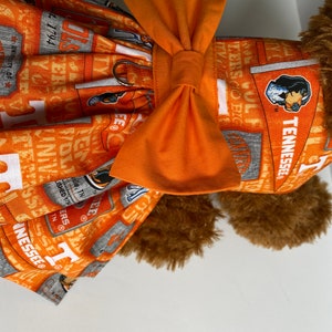 University of Tennessee Dog Dress