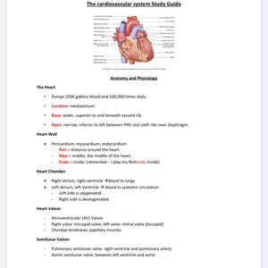 Cardiovascular Study Guide