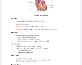 Cardiovascular Study Guide