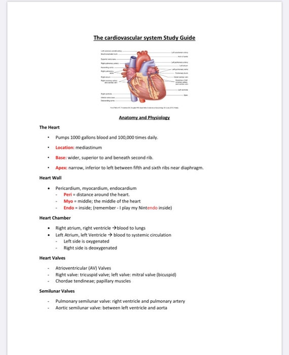 Cardiovascular Study Guide