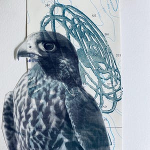Impresión de halcón peregrino en técnica mixta con abanico
