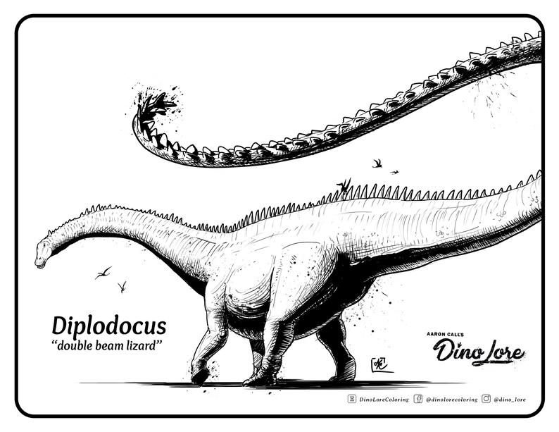 diplodocus colouring