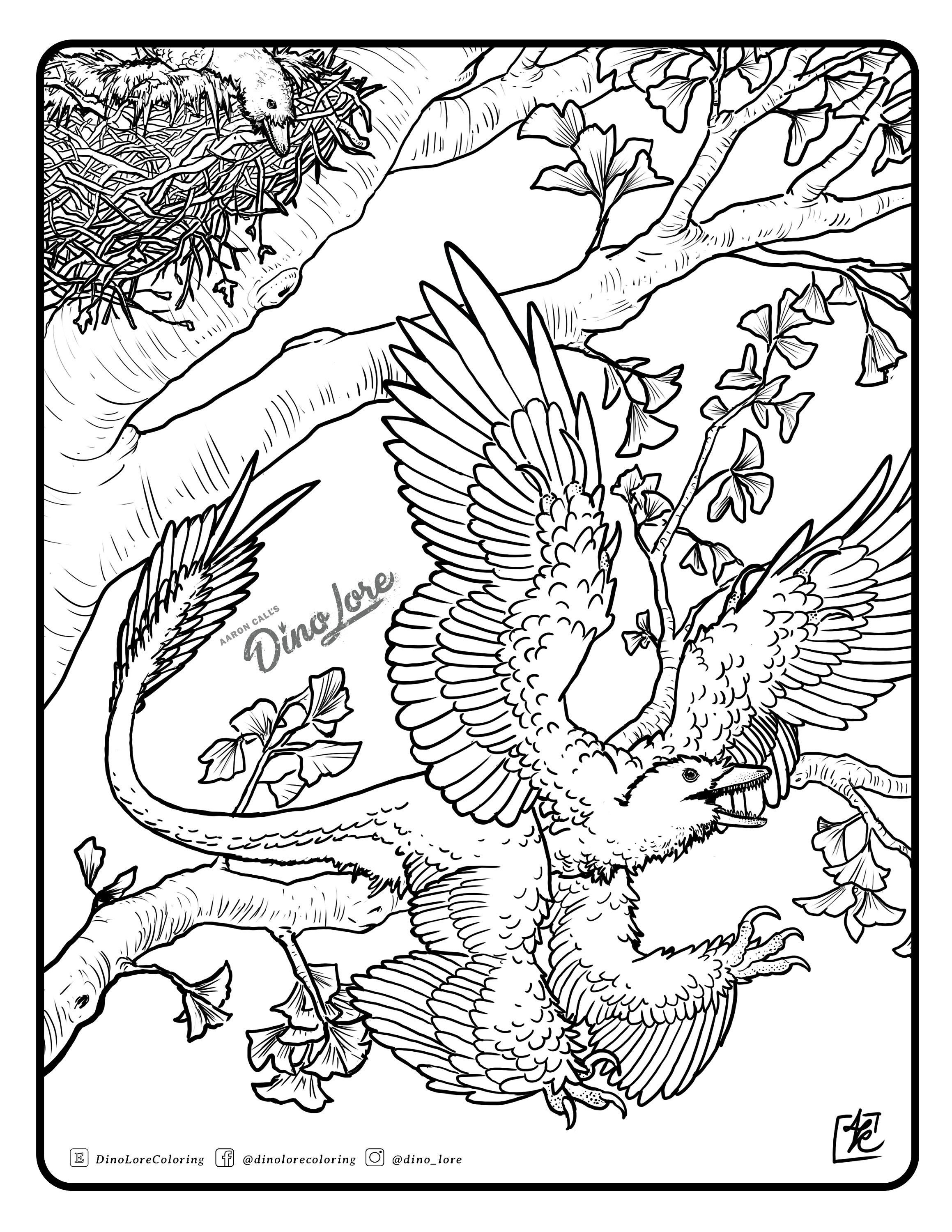 Kit De Microraptor Dinosaurus Kleurplaat Pagina Verhaal Deel Etsy Kit De Microraptor Dinosaurus Kleurplaat Pagina Verhaal Deel Etsy
