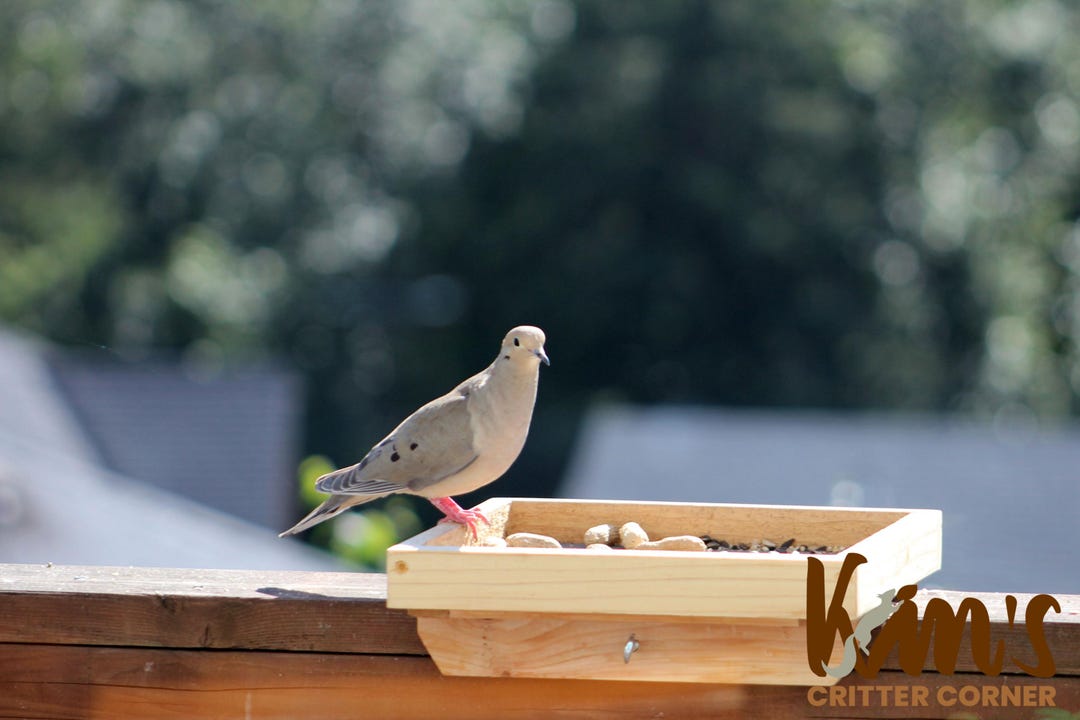 Bird Screen Rack Cedar Railing Bird Feeder: Screen Bottom Platform Tray - Etsy