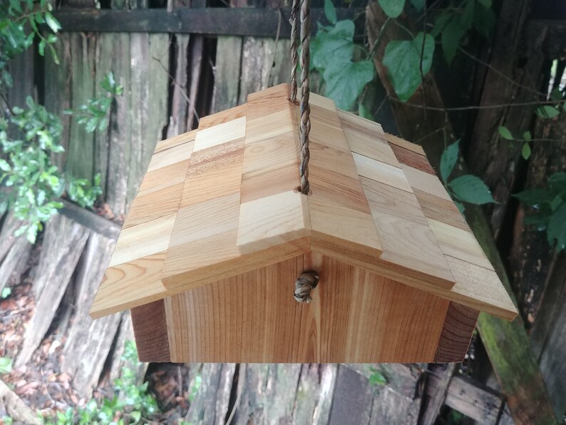 Woodpecker suet feeder upside down for woodpeckers | Etsy