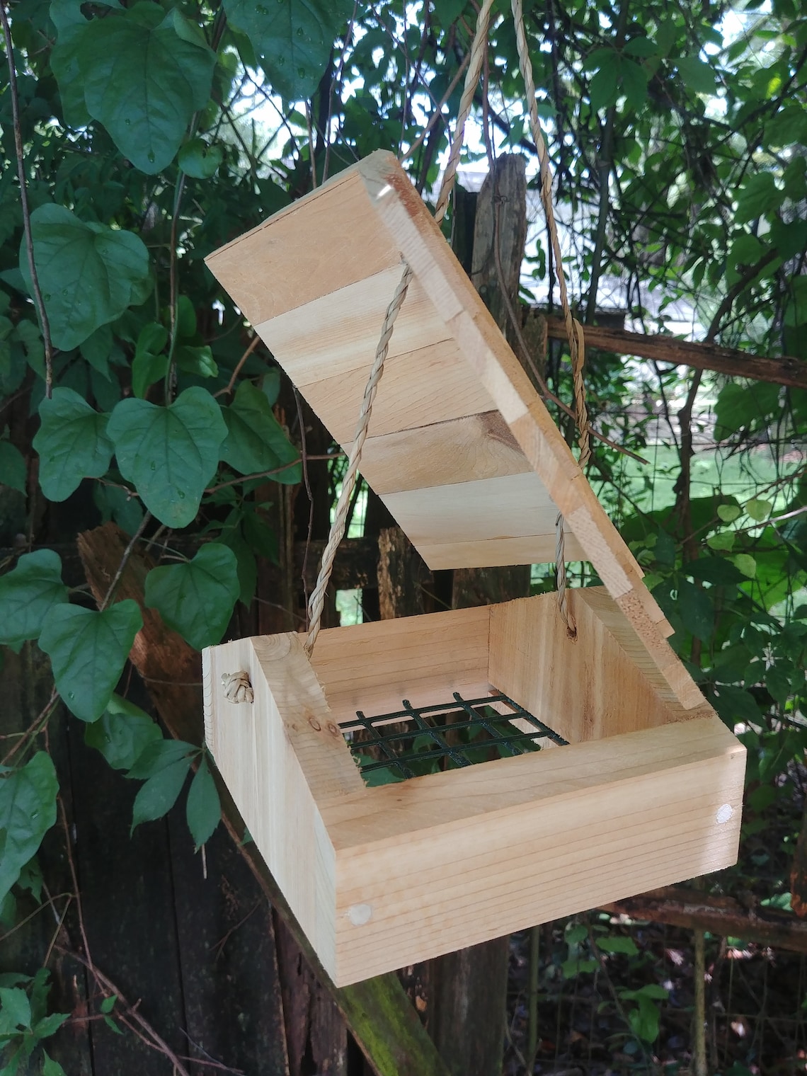 Woodpecker suet feeder upside down for woodpeckers Etsy