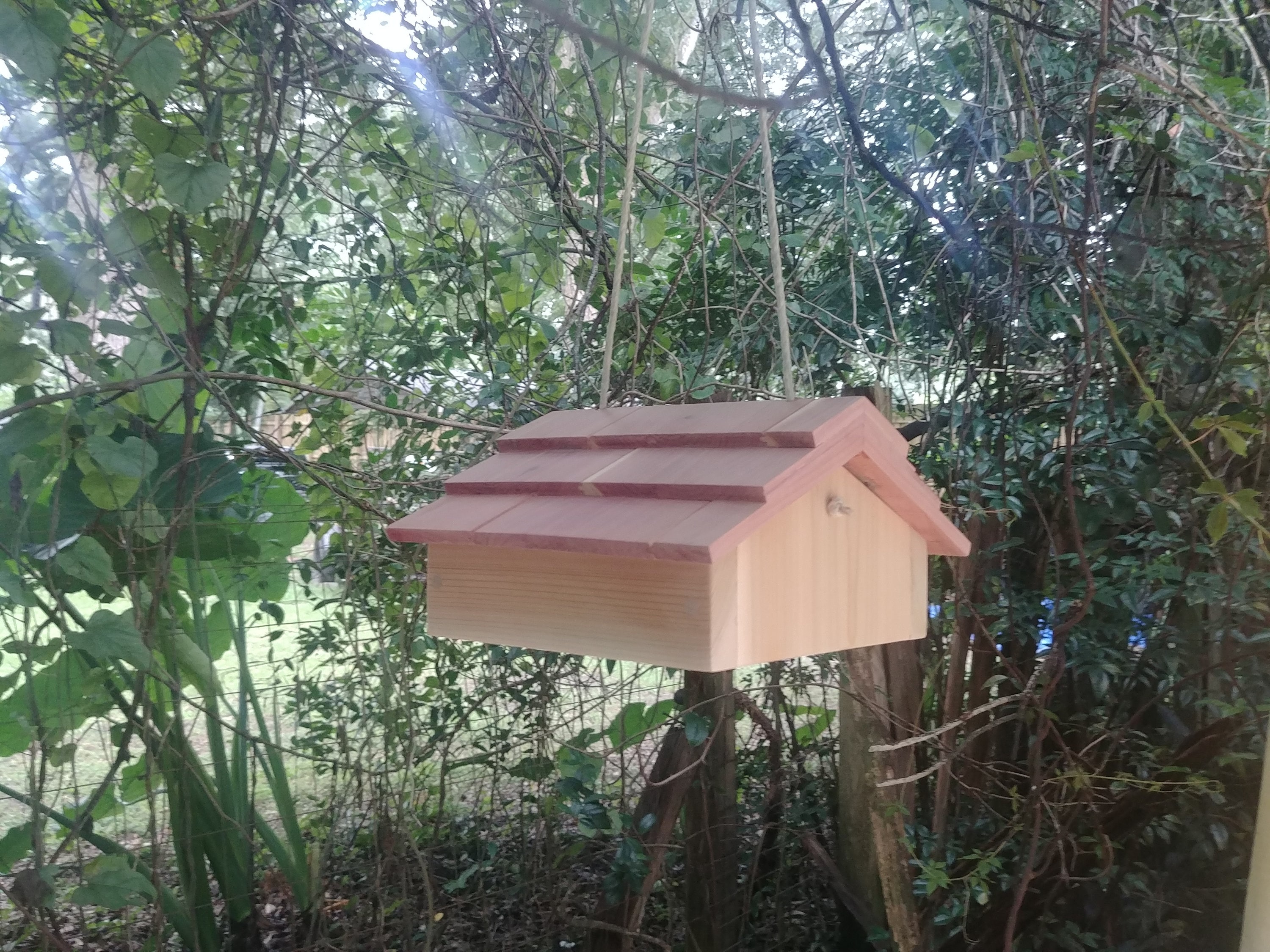 Woodpecker suet feeder upside down for woodpeckers Etsy