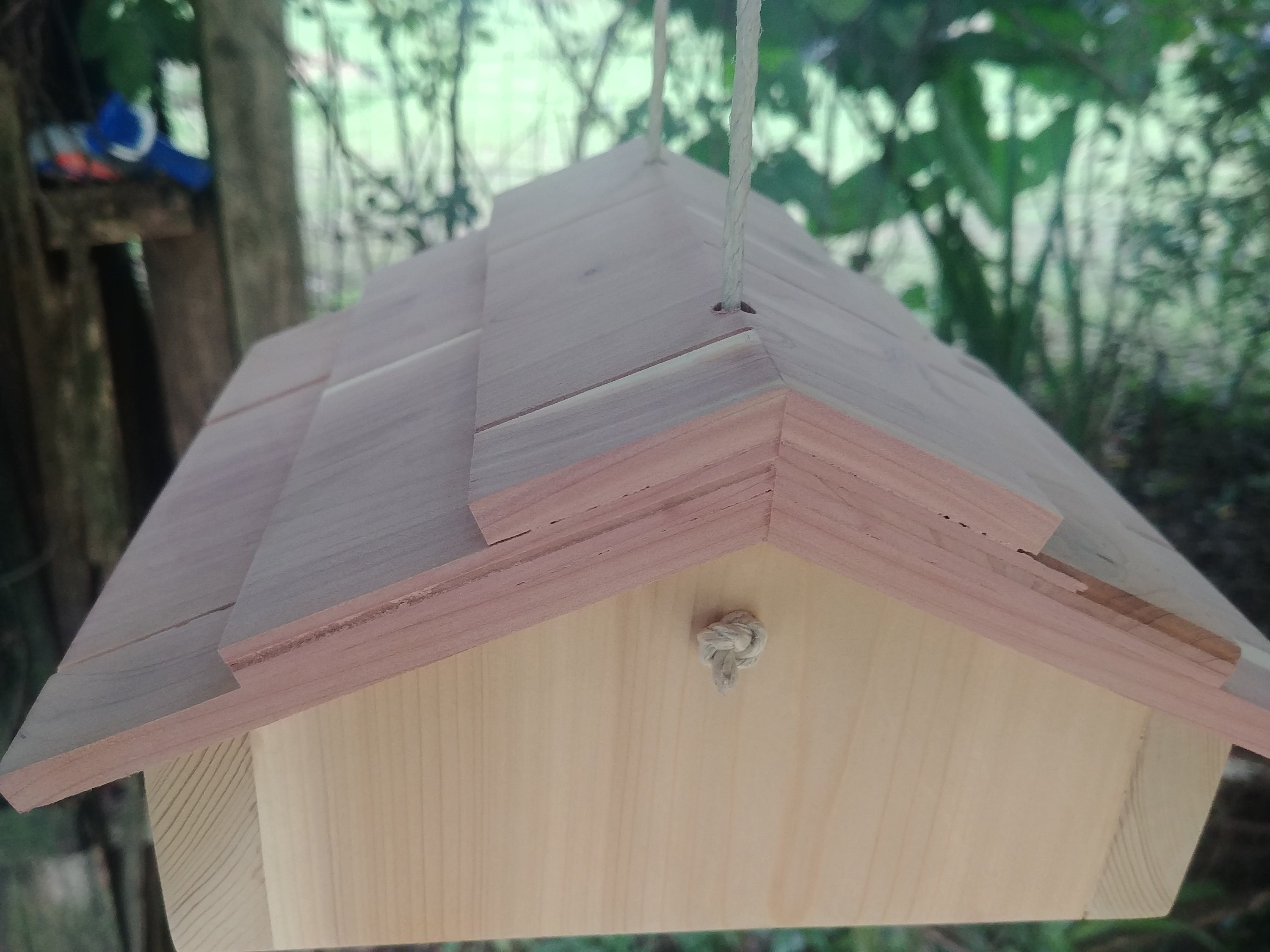 Woodpecker suet feeder upside down for woodpeckers Etsy