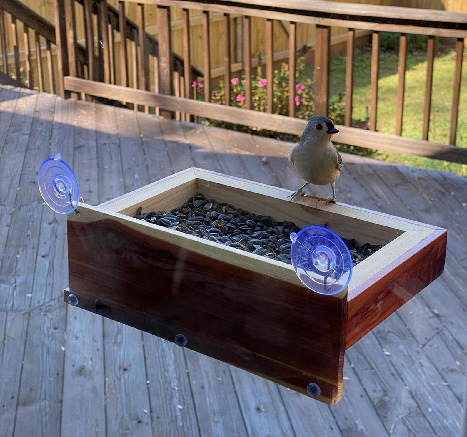 window bird feeder tray wild birds large outside window bird feeder tray wild birds large outside