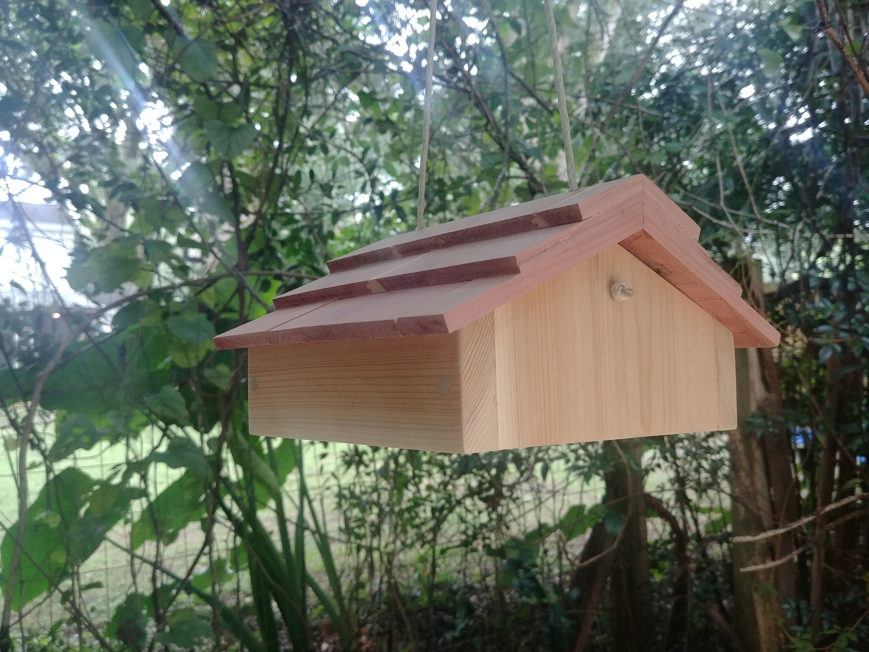 Woodpecker suet feeder upside down for woodpeckers Etsy