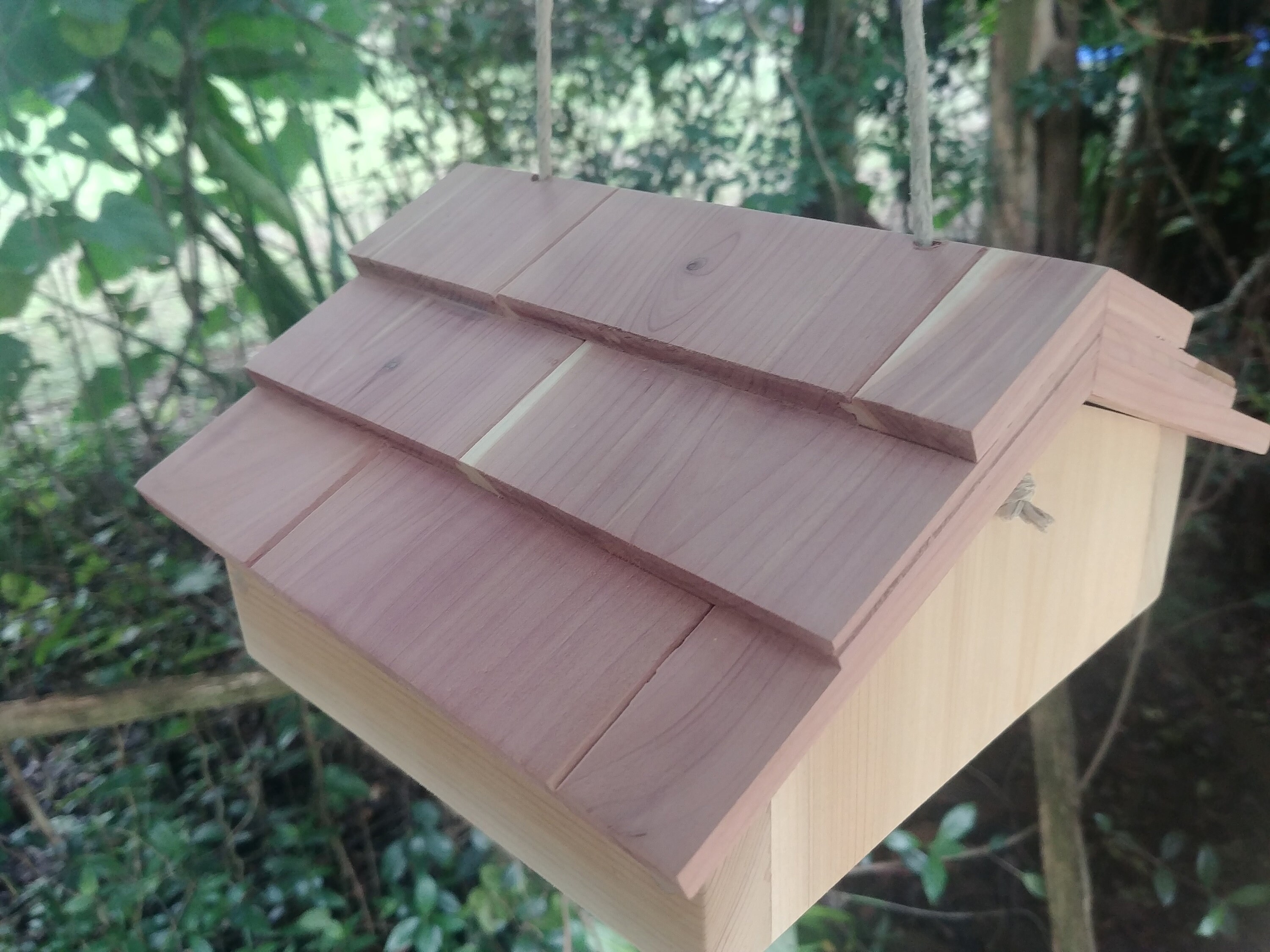 Woodpecker suet feeder upside down for woodpeckers Etsy