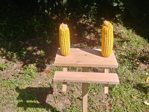 Picnic Table Squirrel Feeder Etsy