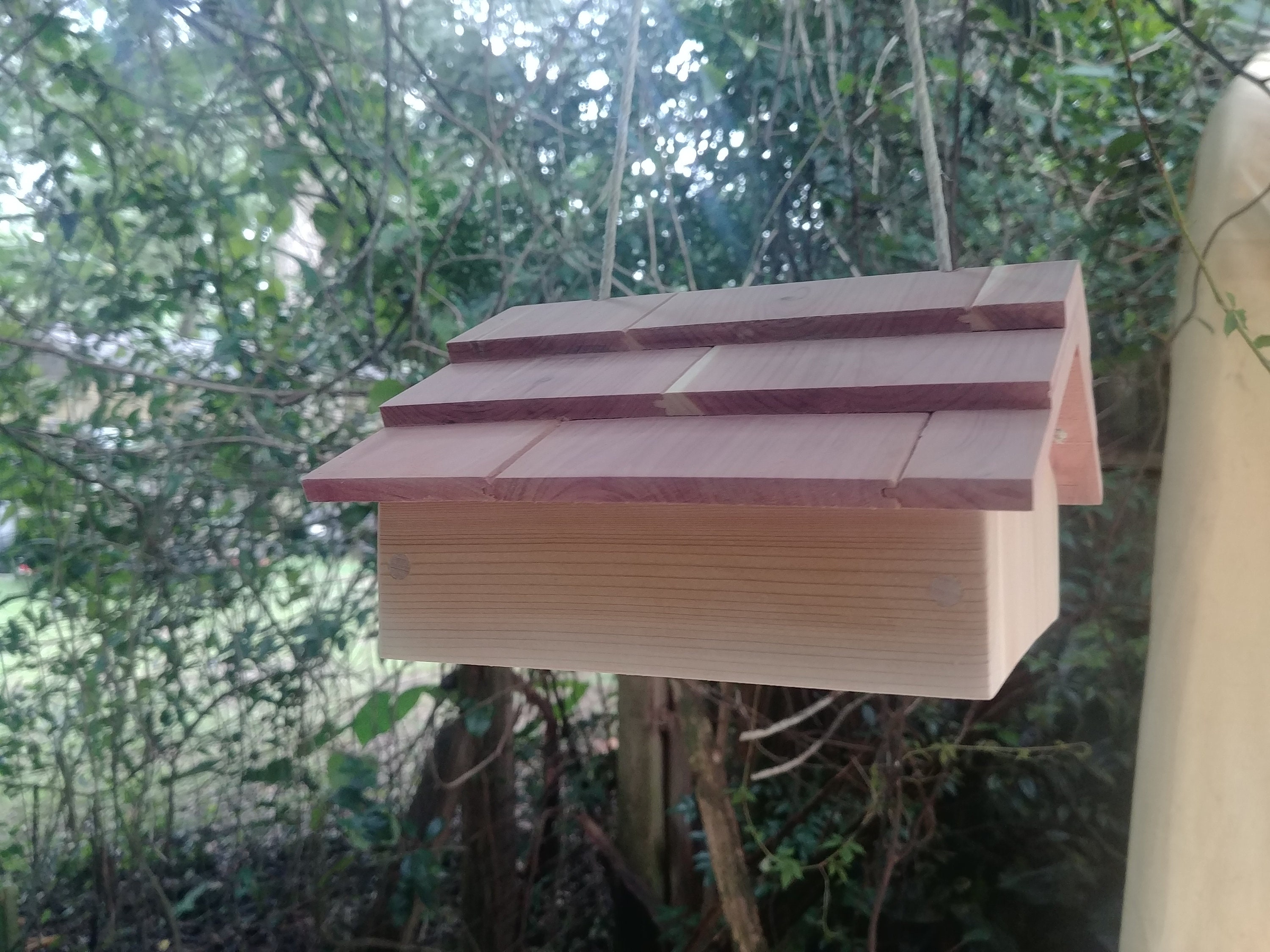Woodpecker Suet Feeder Upside Down for Woodpeckers - Etsy