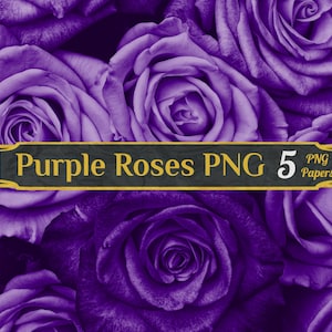 May include: Close-up image of a bouquet of deep purple roses. The roses are arranged in a tight cluster, with the petals overlapping and creating a soft, velvety texture. The image is titled "Purple Roses PNG 5 PNG Papers".