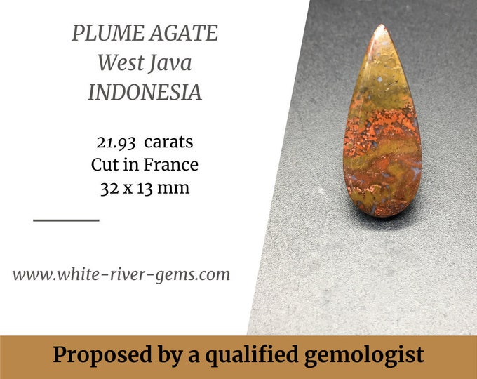 21.93 carats Feather Agate Indonesia