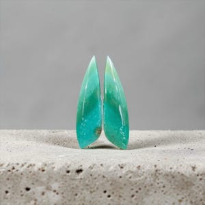 Madera opalescente natural / Ópalo laguna – Par de cabujones de forma irregular – 35 mm – Aproximadamente 16 quilates – Java, Indonesia – Hecho a mano – Ref. BOJ04