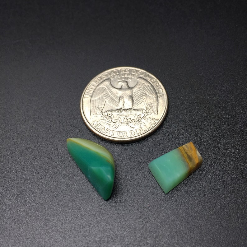 Indonesia/'s opalized wood cut in France 8.91 carats 2 pieces