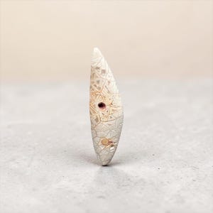 Cabochon en Corail Pétrifié Naturel – 47 mm – Indonésie – Taillé Main en France – Réf. CGI2