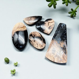May include: Assortment of polished gemstones in various shapes: oval, heart, and teardrop. The stones feature a mix of black, brown, and cream colors with unique patterns. The gemstones are displayed on a light gray surface.