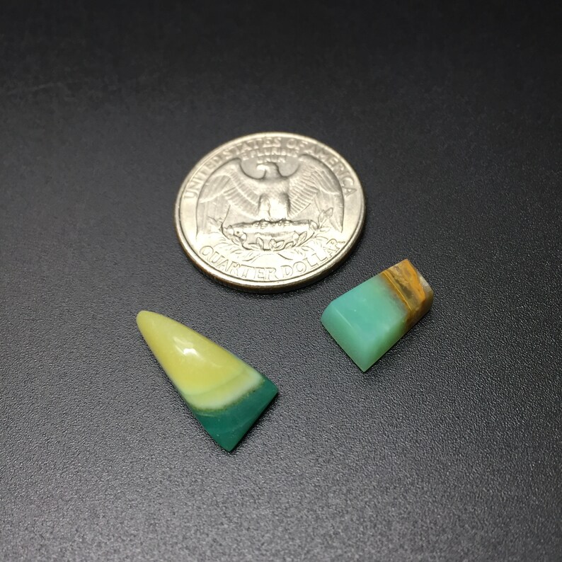 Indonesia/'s opalized wood cut in France 8.91 carats 2 pieces
