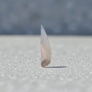 Peut inclure: Une pierre précieuse polie en forme de goutte d'eau, d'aspect translucide et laiteux. La pierre est de couleur blanc cassé pâle avec de subtils motifs internes roses et gris. L'extrémité pointue projette une petite ombre sur la surface texturée.