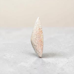 Cabochon en Corail Pétrifié Naturel – 59 mm – Indonésie – Taillé Main en France – Réf. CGI4