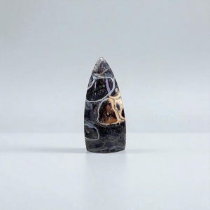 Cabochon in Petrified Palm Root Wood – Triangular Shape 33 mm – Handmade – Origin: Sumatra, Indonesia – Ref. FPI6