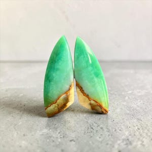 Pair of Natural Opalized Wood Cabochons – Copper-bearing Silica – Triangular Shape 27 mm – 13 ct – Java, Indonesia – Ref. OP093