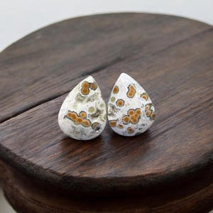 May include: A pair of teardrop-shaped earrings with a white and brown agate pattern.