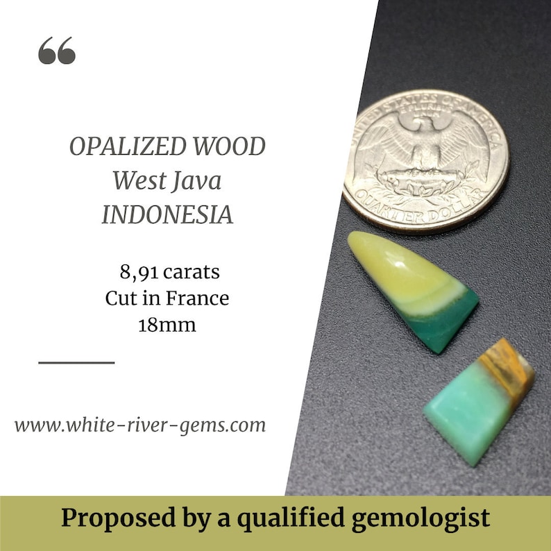 Indonesia/'s opalized wood cut in France 8.91 carats 2 pieces
