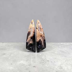 Pair of drilled cabochons made from petrified palm root wood – Triangle shape – 28 mm – Sumatra, Indonesia – Handmade – Ref. PPP5