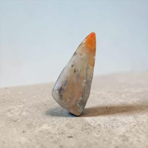 Peut inclure: Une pierre précieuse triangulaire polie, avec un dégradé de couleurs. Le sommet est orange vif, passant à un mélange de beige, de gris et de touches de vert. La pierre est posée sur un fond neutre, mettant en valeur sa beauté naturelle.