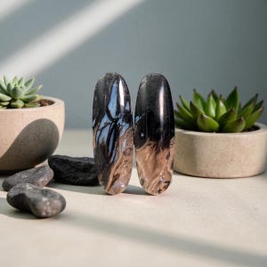 May include: Two polished, oval-shaped stones with a marbled pattern of black, white, and brown. The stones are displayed upright, reflecting light. Small potted succulents and dark gray stones are in the background.