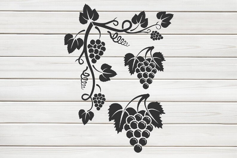 bunch vine grapes stencil model template design print digital etsy