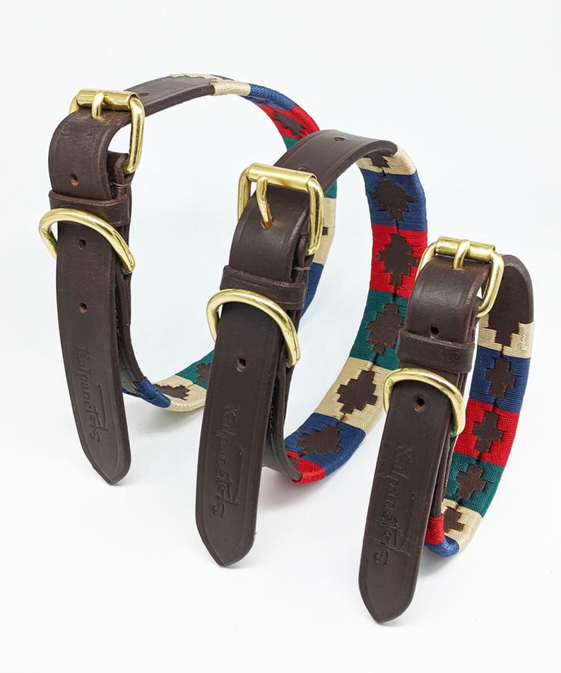 Cooper Polo Dog Collar and Leash Set Etsy
