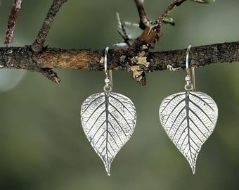 Birch leaves, botanical nature-made, fine silver (PMC), hand-crafted earrings by Cindy Bina