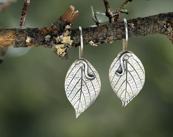 Birch leaves with Tendril, botanical nature-made, fine silver (PMC), hand-crafted earrings by Cindy Bina