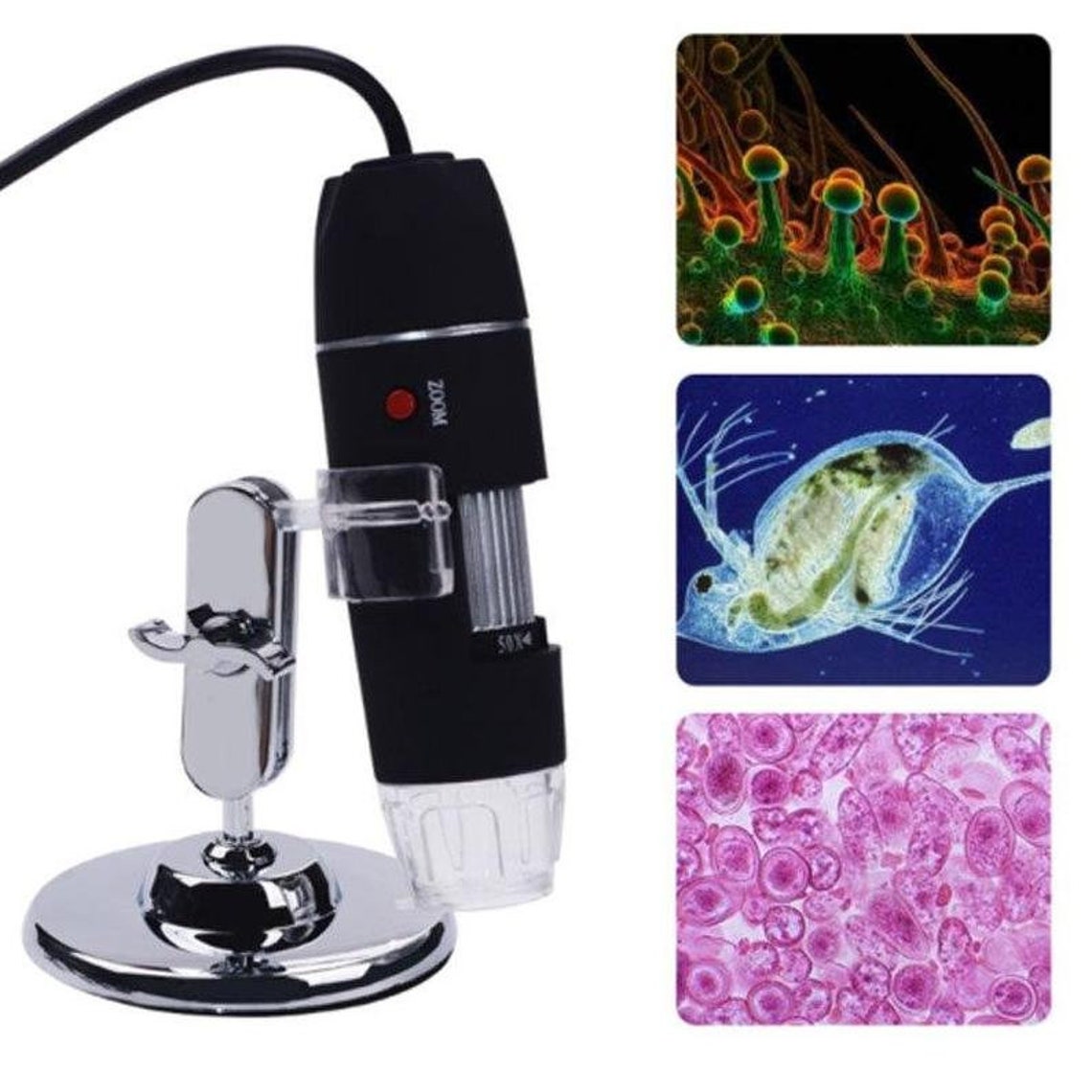 USB Electronic Handheld Microscope LED Illuminated 1000X Etsy