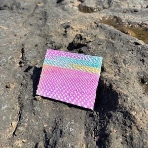 MagicBaliPython - Card Holder Simple - Woman Card Holder - Wallet Card - Real skin Card Holder