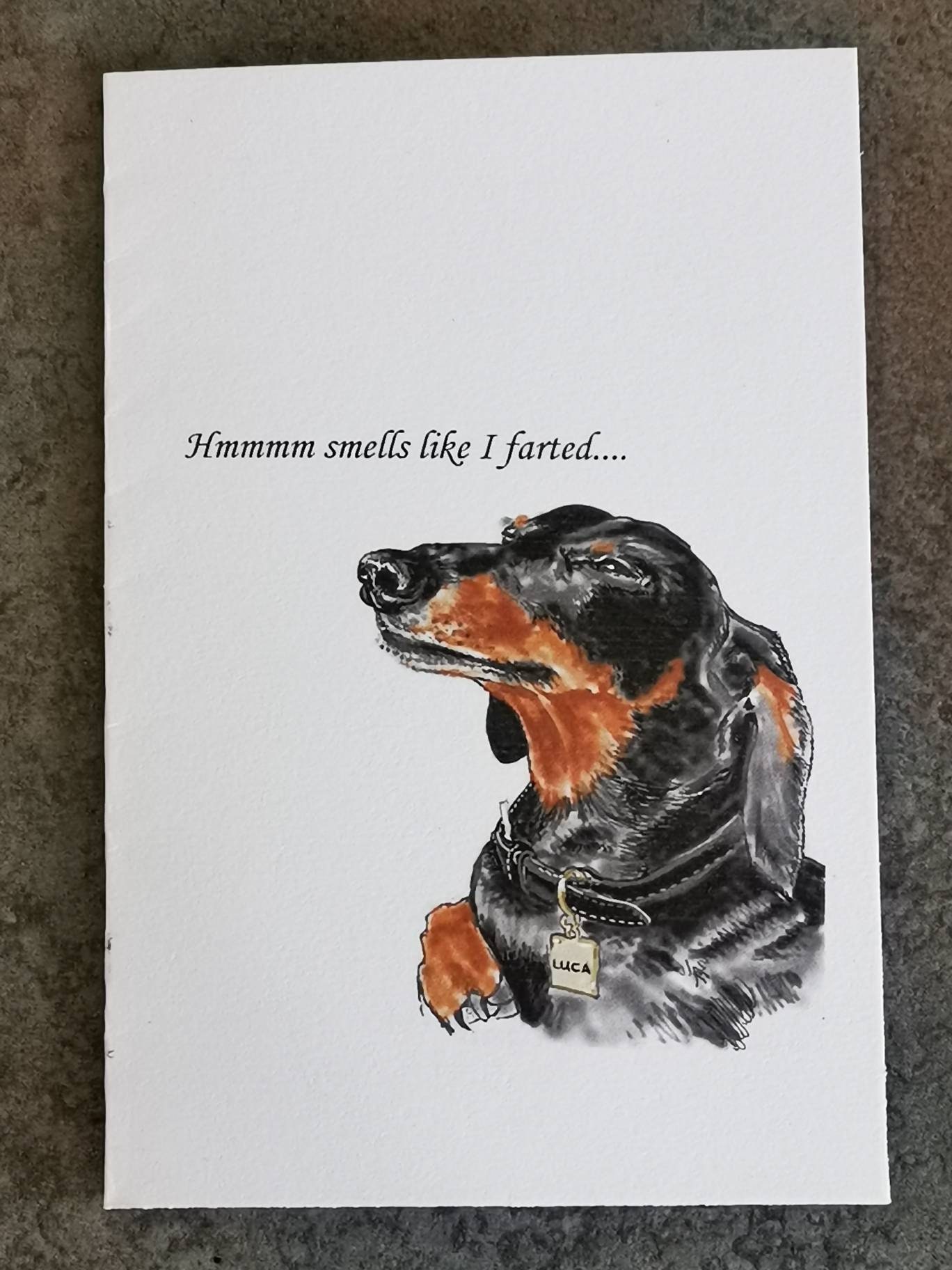 What Does A Dog Fart Smell Like