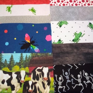 Passover Fabric Squares: Ten Plagues