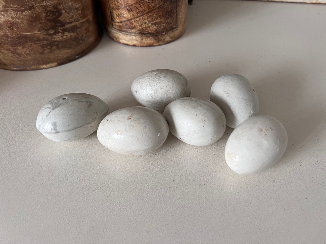 Set of 6 Antique Pottery Dummy Eggs Ironstone Decoy Eggs Etsy